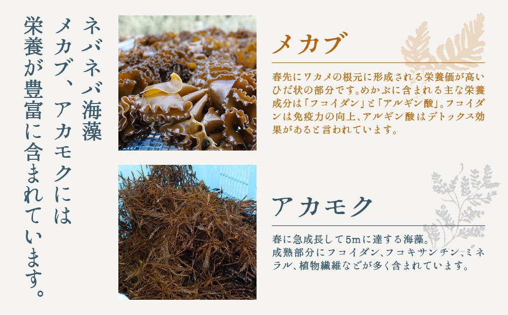 栄養たっぷりのメガブとアカモクのお酢