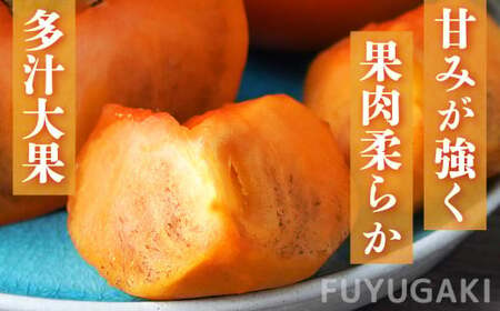 【堀うち農園】どっさり 約7kg 訳あり 富有柿