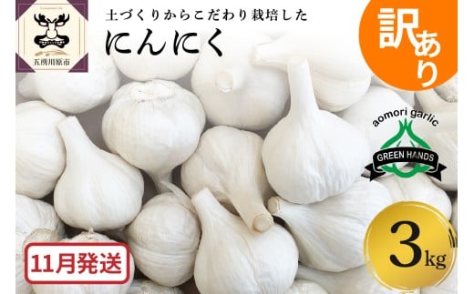 【11月発送】　訳あり 青森県産 にんにく3kg（1kg×3）
