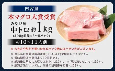本マグロ 大賞受賞 みやび鮪 中トロ 計約1kg (約10～11人前) ／ 小分け トロ 霜降り ブロック クロマグロ 鮪 まぐろ さく マグロ 柵 刺し身 刺身 国産 本まぐろ 本鮪 中とろ 冷凍 