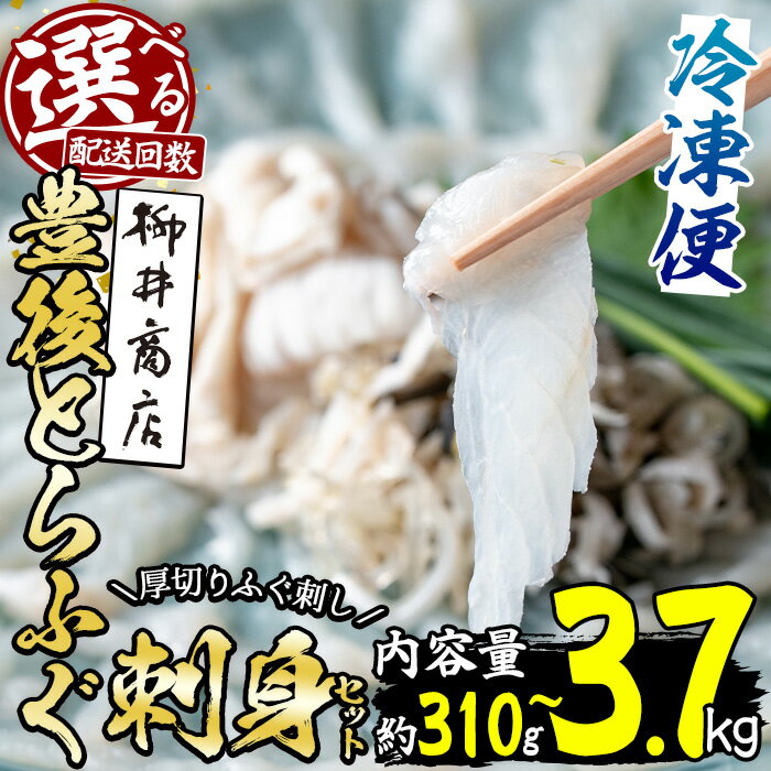 【ふるさと納税】＜お届け回数が選べる！＞ 豊後 とらふぐ 刺身 セット (総量310g-3.7kg：1回・6回・12回) 定期便 とらふぐ ふぐ フグ ふぐ刺し フグ刺し ふぐ刺身 フグ刺身 刺身 鮮魚 冷凍 養殖 国産 コンシェルジュ 大分県 佐伯市【AB101・AB199・AB200】【柳井商店】