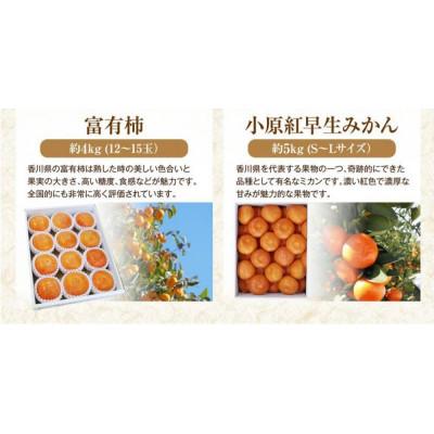 ふるさと納税 さぬき市 【発送月固定定期便】香川県さぬき市　フルーツ厳選定期便(10回便)全10回 |  | 03