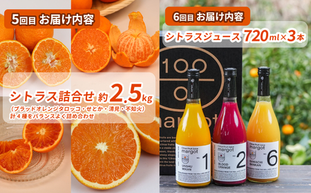 シトラス フルーツ ＆ ジュース 6回 定期便 コルレオファーム 極早生 宮川早生 南柑20号 ブラッドオレンジ モロ 甘平 はるか ポンカン タロッコ せとか 清見 不知火 シトラスジュース 720