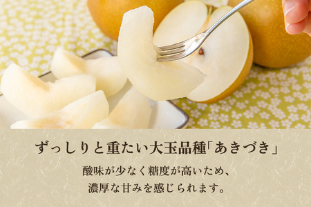 【2026年先行予約】【贈答用】和梨 あきづき 5kg（8～12玉）《9月中旬から順次発送》 果物 なし 梨 フルーツ 新鮮 新潟のフルーツ産地 加茂市 まるさん金子果樹園 梨