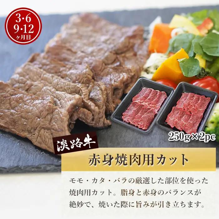 【定期便12ヶ月2027年1月発送～】淡路牛 赤身肉の定期便