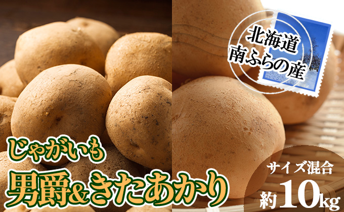 南ふらの産 じゃがいも 男爵 ＆ きたあかり 約10kg【サイズ