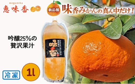 佐賀みかん ジュース 25%絞り 吟醸贅沢果汁 1L 冷凍パック