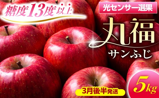 【2027年3月後半発送】 りんご 青森産 約5kg 丸福 サンふじ 光センサー 選果 糖度 13度以上