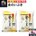 【ふるさと納税】【令和6年産新米予約】【玄米】金のいぶき 4kg（2kg×2袋）