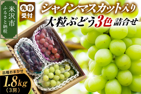 【先行予約】【数量限定】【令和8年産】シャインマスカット入り 3色 大粒ぶどう 詰合せ 3種類 1.8kg 3房 2026年9月15日～9月30日頃お届け予定