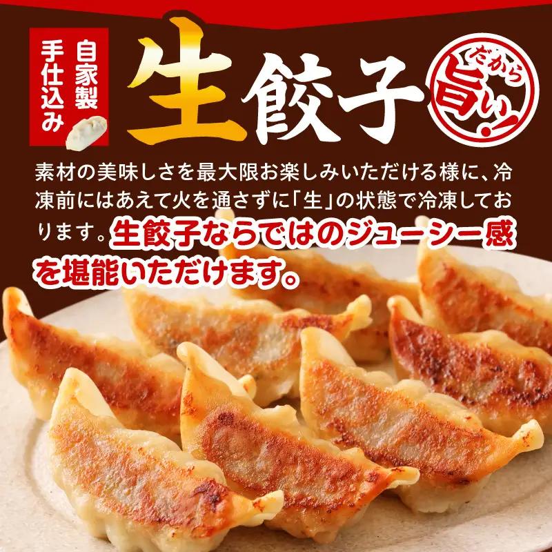 市場で製造直売の餃子！ 4パックセット 餃子 ギョウザ ぎょうざ ブランドポーク 生餃子 にんにく餃子 辛餃子 ニラ餃子 冷凍 屋台骨