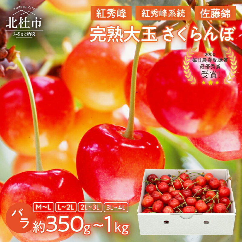 【ふるさと納税】 さくらんぼ 3L～4L 2L〜3L L～2L M～L 【先行予約】 約350g 約500g 約700g 約1kg 完熟 大玉 バラ 紅秀峰 紅秀峰系統 佐藤錦 やまなしGAP認証 フルーツ グランプリ ※2025年6月中旬以降順次発送 岩原果樹園 山梨県 北杜市 送料無料