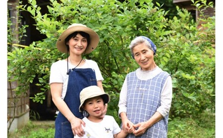 【季節限定】農薬・化学肥料不使用！愛情と栄養たっぷり冷凍ブルーベリー（1kg） 南小国産 冷凍 ブルーベリー 1kg 摘み立て 生 果物 新鮮 フレッシュ 小分け 農薬不使用 化学肥料不使用 産地直送