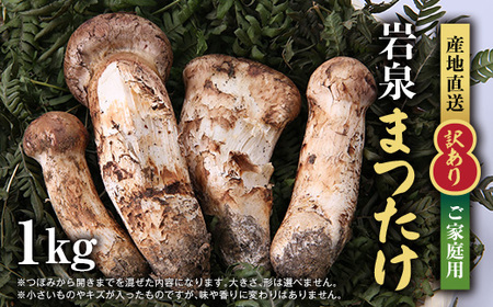 【訳あり】ご家庭用 岩泉まつたけ 直送 1kg_野菜 松茸 きのこ まつたけ マツタケ_【配送不可地域：離島】【1423396】