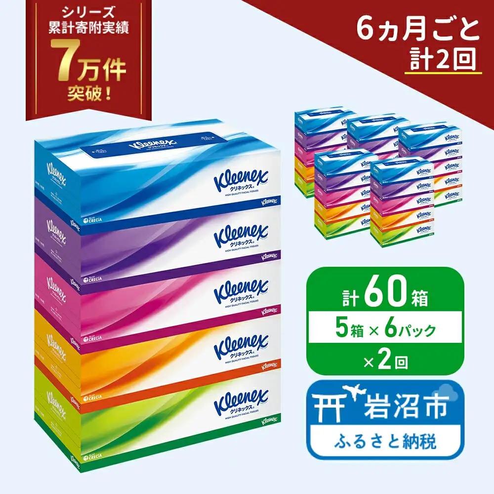 【6か月ごと計2回】 ティッシュ クリネックス 30箱 ティッシュ