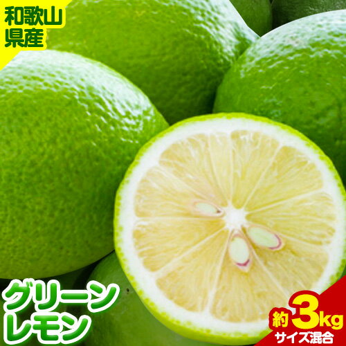 【ふるさと納税】【産直】和歌山県産グリーンレモン 約3kg (サイズ混合) 厳選館《10月下旬-10月末頃出荷》和歌山県 日高町 グリーンレモン レモン 柑橘 果物 フルーツ 和歌山県産