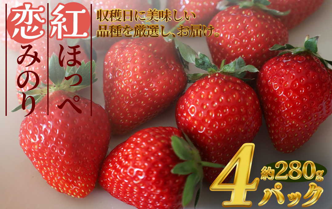 粒が大きく、満足感たっぷりです！