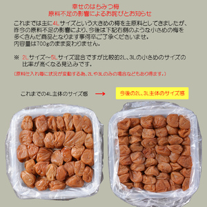 【1079-5】幸せのはちみつ梅干(紀州南高梅)700g A級 大粒 3L以上 和歌山県産 うめぼし 梅干し 梅  送料無料 ふるさと納税 梅干し はちみつ