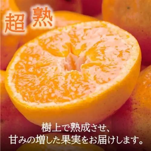 2027年1月～発送 訳あり・ご家庭用　どの坂果樹園の熟成早生みかん　約5kg(大玉中心)【1556451】