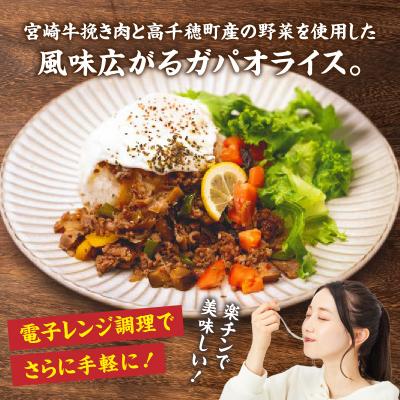ふるさと納税 高千穂町 【カフェARIGATO監修】宮崎牛入り 高千穂ガパオライス |  | 01