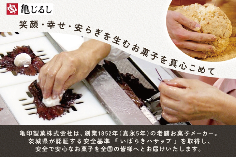 吉原殿中 10本入り【和菓子 水戸 銘菓 きなこ きな粉 あられ 糖蜜 菓子 五家宝 お茶請け おやつ 手土産 お取り寄せ ギフト グルメ 中元 歳暮 贈り物  贈答 常温 亀印製菓 茨城県 水戸市】