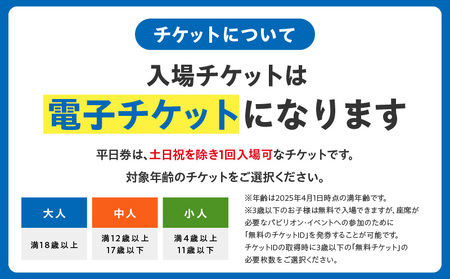 【平日券】2025年日本国際博覧会 大阪・関西万博 入場チケット（大人1名分）【EXPO 2025 大阪 関西 日本 万博 ばんぱく 夢洲 早期購入割引 前売り 期間限定】