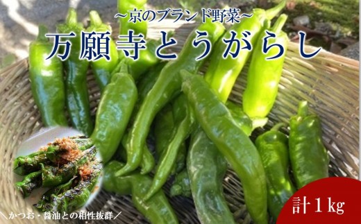【先行予約・2026年7月発送】万願寺とうがらし（京野菜）1kg（目安30～35本） |京都 野菜 人気セット［ 京都 野菜 万願寺 とうがらし ご当地 人気 おすすめ 定番 セット おいしい ご自宅用 お取り寄せ 通販 送料無料 ふるさと納税 ］