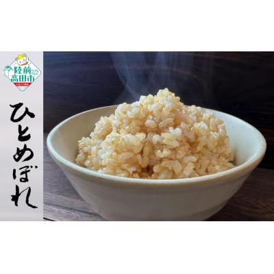 ふるさと納税 陸前高田市 ★新米★ 令和7年産 ひとめぼれ 10kg 玄米 米 おにぎり お弁当
