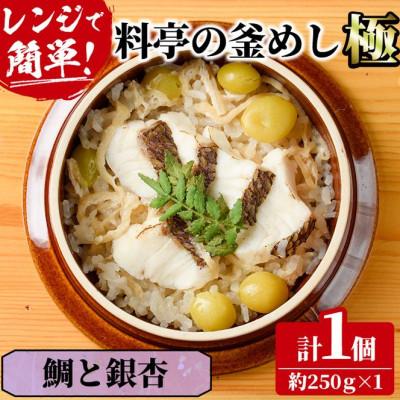 ふるさと納税 門川町 料亭の釜めし・極【鯛と銀杏】