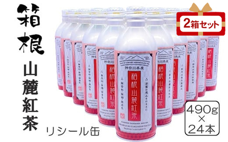 箱根山麓紅茶リシール缶490g×24本入×2箱セット