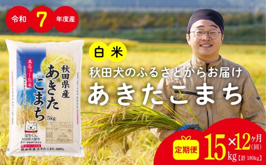 【定期便12ヶ月】秋田県産あきたこまち(白米)15kg / 米 15kg 白米 令和7年産 秋田県産 あきたこまち 5kg×3袋 おにぎり 大館 東北 秋田 小分け こわけ 大館市 15キロ 15ｷﾛ 15きろ【1260P051002-T-12-15-oi3】【ふるさと納税3.0】