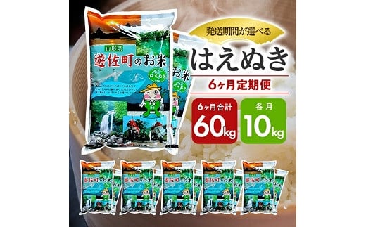 1062T12　【定期便】遊佐産はえぬき10kg×6ヶ月連続（12月～5月）