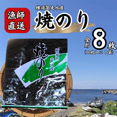ふるさと納税 横須賀市 【訳あり】欠け　海苔 全形8枚×1袋(全形8枚) 漁師直送 上等級 焼海苔
