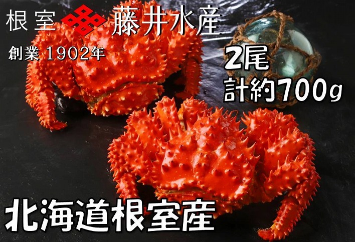 【北海道根室産】＜鮭匠ふじい＞ボイル花咲がに2尾(計約700g) G-42010