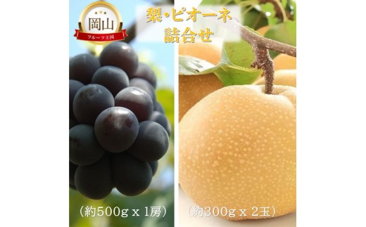 
            [№5615-0756]岡山県産 岡山の梨(約300g×2玉)・ピオーネ(約500g×1房) 詰合せ 梨 ピオーネ ぶどう ブドウ 葡萄 果物 フルーツ
          