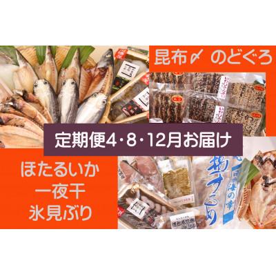 ふるさと納税 氷見市 【発送月固定定期便】氷見の味を食べつくす!＜一夜干・氷見ぶり・昆布〆刺身・蛍いか・のどぐろ入＞全3回