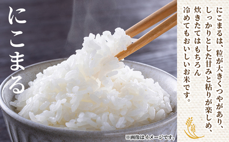 ＜令和7年産 西予市産 にこまる 精米 約5kg＞ ニコマル お米 米 コメ こめ 白米 国産米 単一原料米 ご飯 5キロ お弁当 おにぎり 特産品 愛媛県産 株式会社宇都宮米穀 愛媛県 西予市【常温
