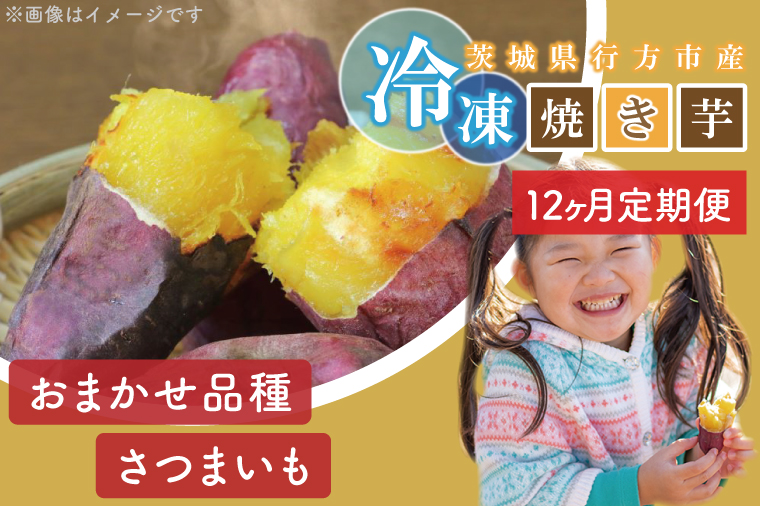 EY-24　【12ヶ月定期便】★少し大きめサイズ★熟成紅はるか冷凍焼き芋約3.2kg＋おまかせ品種さつまいも 合計約3.5kg!