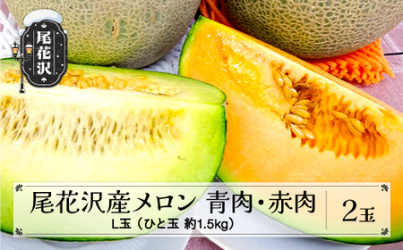 メロン 2種食べ比べセット 2玉 令和8年産 2026年産 7月下旬～8月上旬頃発送 kb-mlrbx2