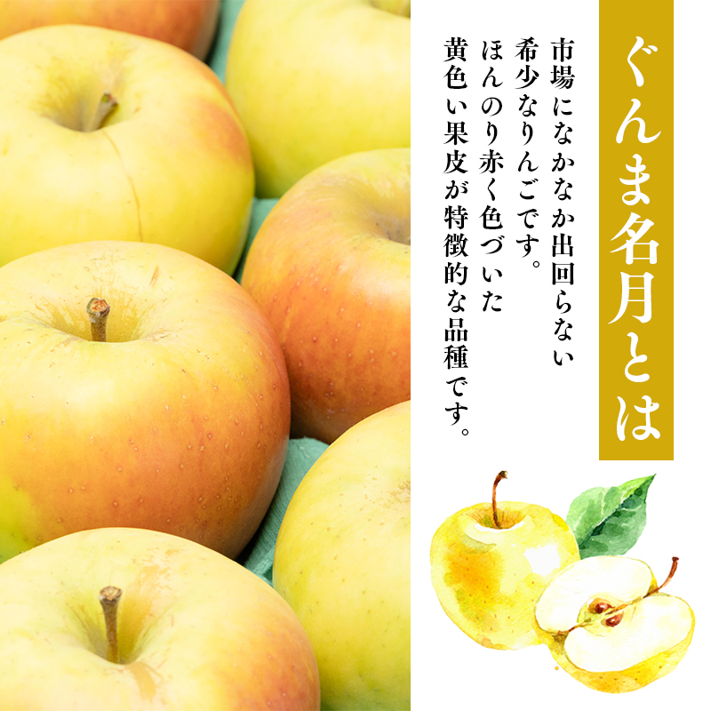 年内発送 贈答用ぐんま名月約3kg（糖度証明書付き） 【那由多のりんご園・平川市産】