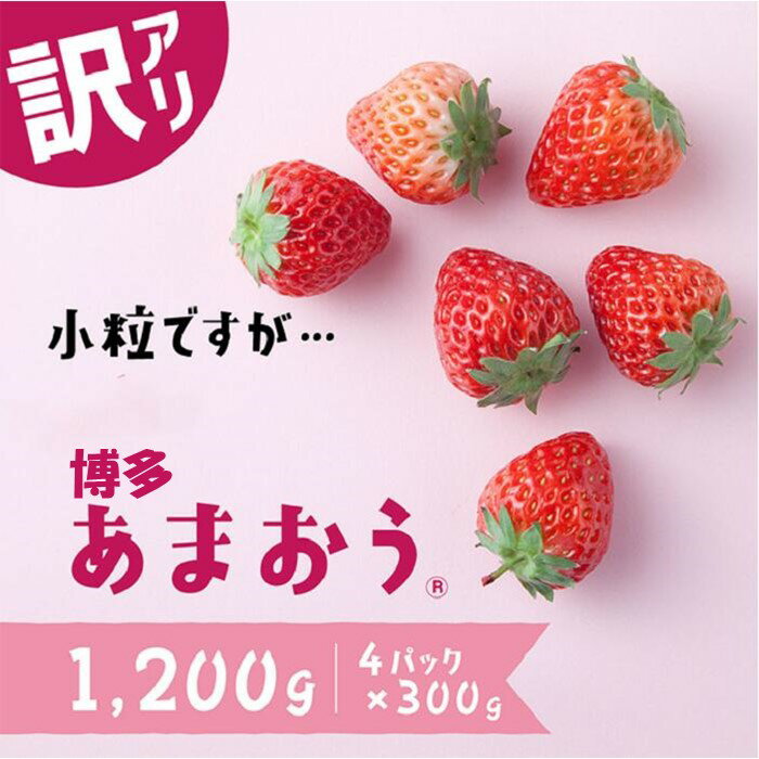 【ふるさと納税】【訳あり.限定品】博多あまおう.小粒ですが約1200g（先行受付．2027年2月以降発送） いちご 苺 高級 フルーツ【あまおう】.AB380