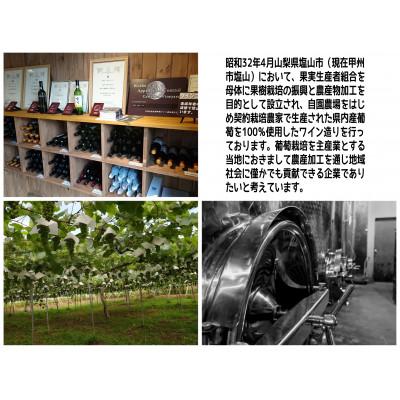 ふるさと納税 甲州市 塩山洋酒醸造のワイン赤白2本セット |  | 01
