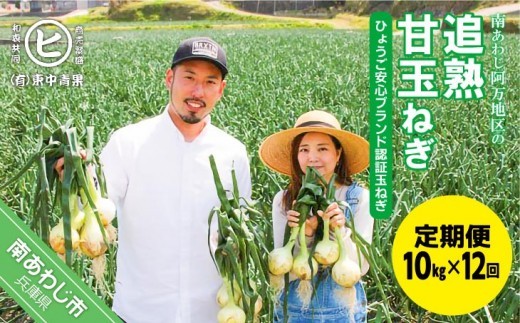 【12ヶ月定期便】「追熟甘玉ねぎ」10kg