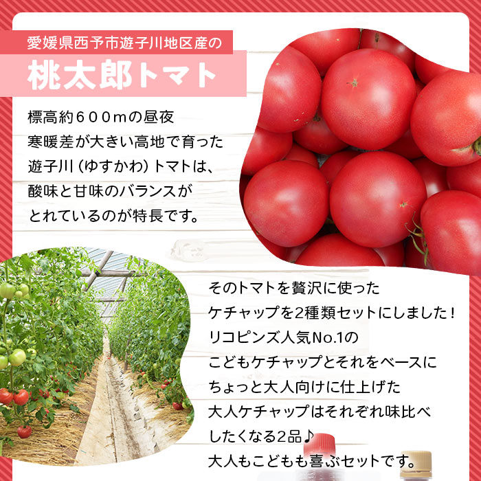 ＜親子で使える こども＆大人ケチャップ 食べ比べセット 合計4個（各種2個）＞ とまと 野菜 完熟 調味料 子供 パスタソース 辛口 詰め合わせ ギフト 国産 特産品 遊子川ザ・リコピンズ 愛媛県 西