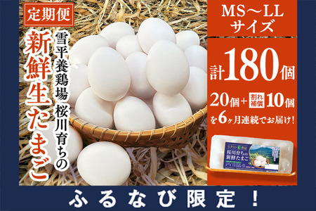 【6ヵ月定期便】雪平養鶏場 桜川育ちの 新鮮 たまご 合計180個 （20個＋10個割れ補償付)×6回  数量限定 卵 定期便 茨城県 桜川市 [SC034sa]