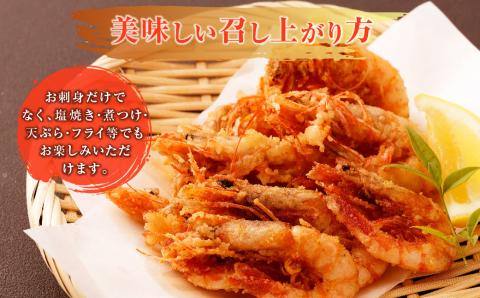 BSR-334 甑島のタカエビ（薩摩甘えび）60尾(15尾×4パック)