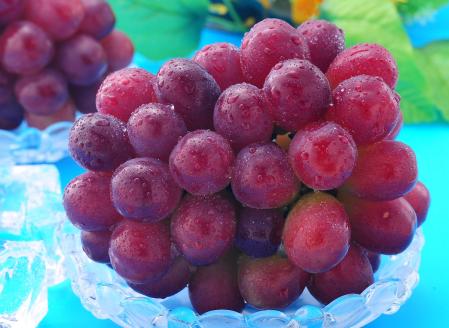 岡山県産 マスカットビオレ 1.3kg以上 ＜10月中旬から11月中旬発送＞ _A19 1.3kg以上