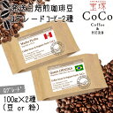 【ふるさと納税】Qグレードコーヒー100g×2種/当日自家焙煎珈琲　miniサイズ　ブラジルNo.2 クイーン ショコラ 浅煎　マチュピチュ 中煎 2種類 クリックポスト 送料無料