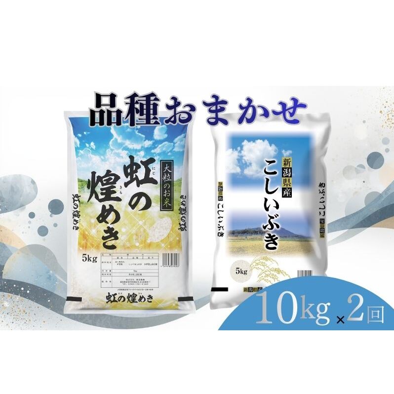 【ふるさと納税】【7月下旬より配送】 新潟県産 品種おまかせ 10kg 2か月定期便 新潟県 新潟市産 令和7年産 お米 精米 米 ご飯 送料無料　お届け：令和8年7月下旬から発送