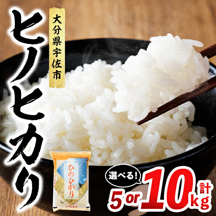 【ふるさと納税】＜容量が選べる！＞ ヒノヒカリ 白米 (計5kg or 10kg) お米 ごはん ご飯 ひのひかり 数量限定 【117800101・117800201】【ジョイライス大分】